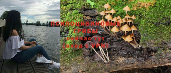 трава Армянск