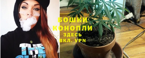 гидропоника Балахна