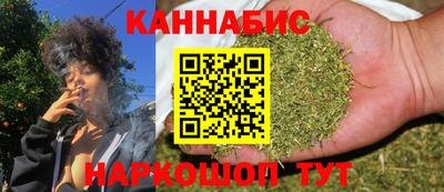 сатива Гай