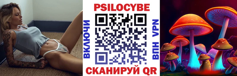 как найти наркотики  Беслан  Галлюциногенные грибы мицелий 
