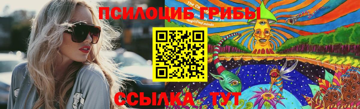 Псилоцибиновые грибы Cubensis  Вход с VPN  Беслан  Псилоцибиновые грибы GOLDEN TEACHER 